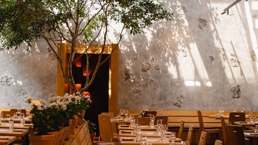 Máximo Bistrot dining courtyard with trees and wooden tables