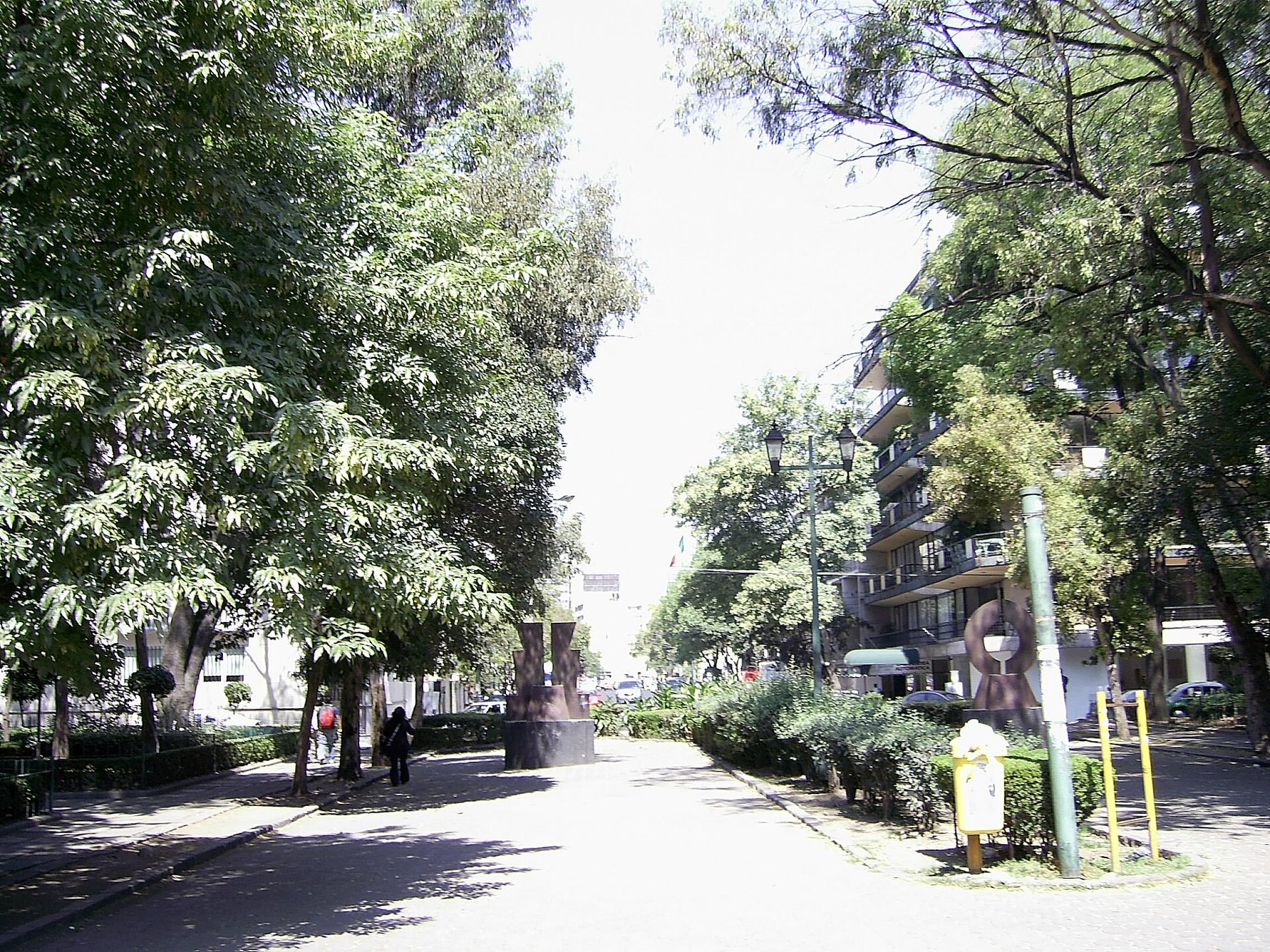 Tree-lined view across Plaza Río de Janeiro, Roma Norte